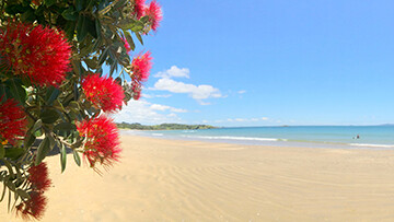 IN THE FRAME: CHRISTMAS 2021